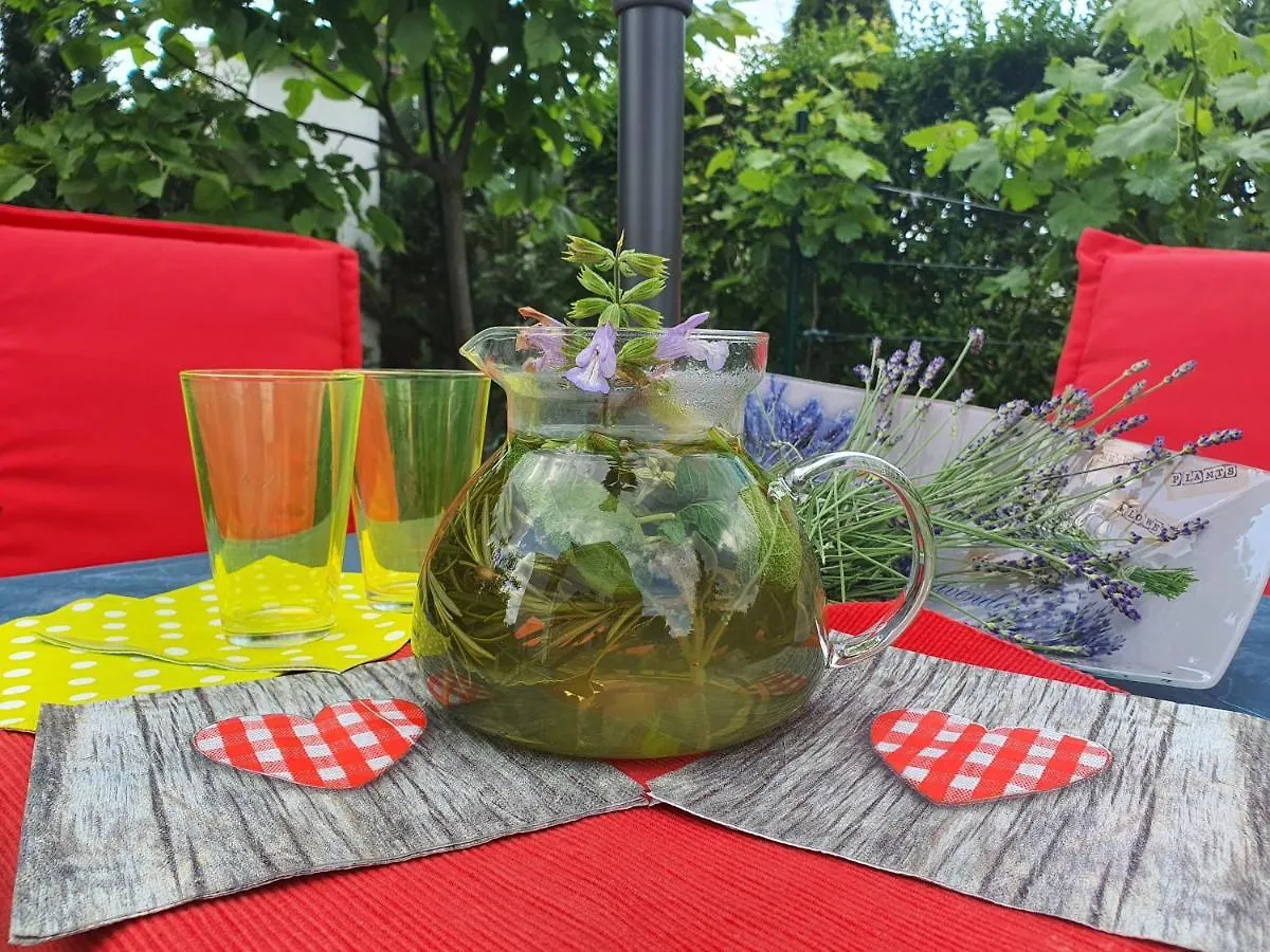 Erhol 'Dich Am Berg Apartamento Viena 0*,  Áustria